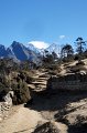 DSC00401