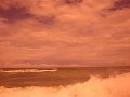 DSC09236