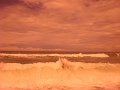 DSC09238