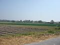 DSC00160