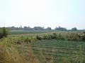 DSC00161
