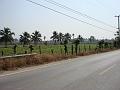 DSC00162