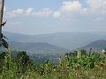 DSC00179