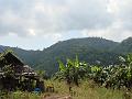DSC00181