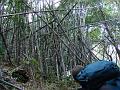 DSC00186