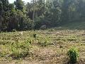 DSC00205