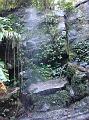 DSC00212