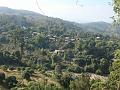 DSC00215