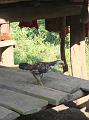 DSC00220