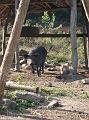 DSC00225