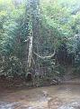 DSC00300