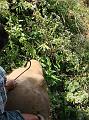 DSC00328