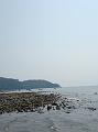 DSC03478