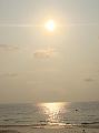 DSC03492