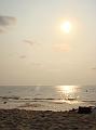 DSC03493