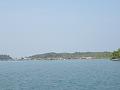 DSC03501