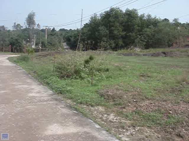 MOV02255.jpg