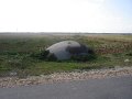 Albania_-_On_The_Road_26