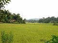 DSC02499