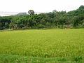 DSC02502