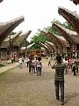 DSC02518