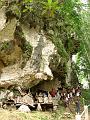 DSC02532