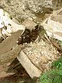 DSC02536
