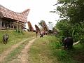 DSC02561