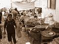 DSC02709