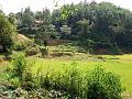 DSC02820