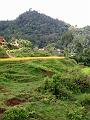DSC02835