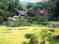 DSC03005