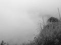 DSC03041