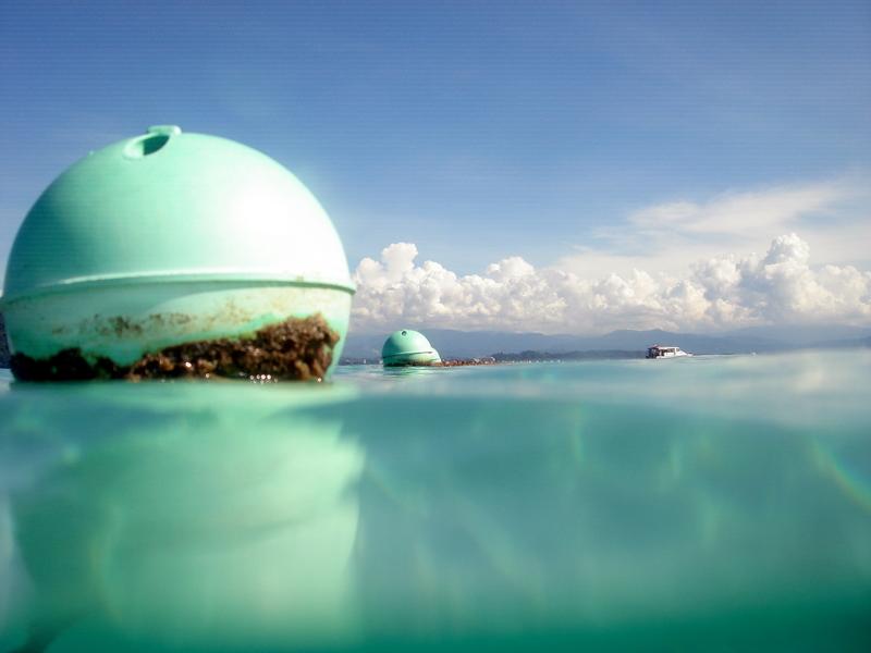 MaLaYsIa_KoTa_KiNaBaLu_104.JPG