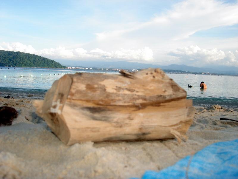 MaLaYsIa_KoTa_KiNaBaLu_115.JPG