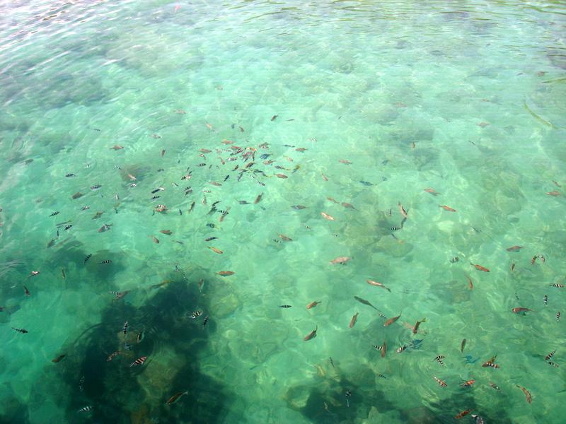 MaLaYsIa_KoTa_KiNaBaLu_29.JPG