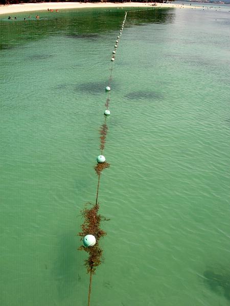 MaLaYsIa_KoTa_KiNaBaLu_35.JPG