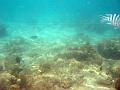 MaLaYsIa_KoTa_KiNaBaLu_112