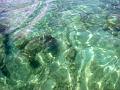 MaLaYsIa_KoTa_KiNaBaLu_20
