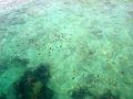 MaLaYsIa_KoTa_KiNaBaLu_29