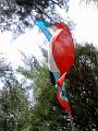 MaLaYsIa_KoTa_KiNaBaLu_37