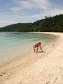 MaLaYsIa_KoTa_KiNaBaLu_45
