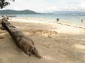 MaLaYsIa_KoTa_KiNaBaLu_66