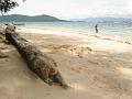 MaLaYsIa_KoTa_KiNaBaLu_67