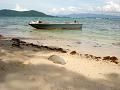MaLaYsIa_KoTa_KiNaBaLu_72