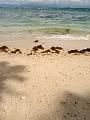 MaLaYsIa_KoTa_KiNaBaLu_73