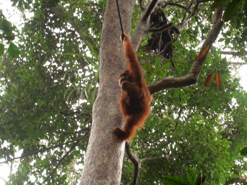 MaLaYsia_KuChInG_47.JPG