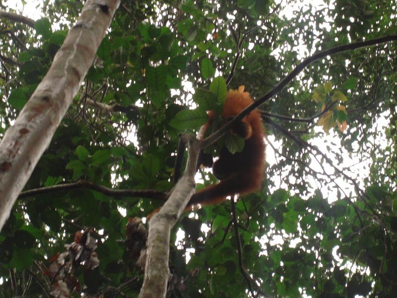 MaLaYsia_KuChInG_49.JPG