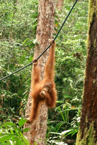 MaLaYsia_KuChInG_63.JPG
