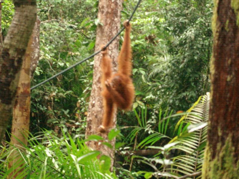 MaLaYsia_KuChInG_66.JPG